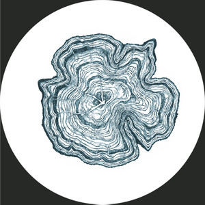 Holding On To Our Dignity by Héctor Oaks cover art