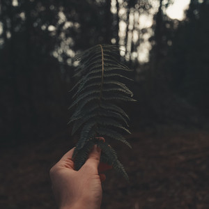 Zagora ghazal - I Found Nothing