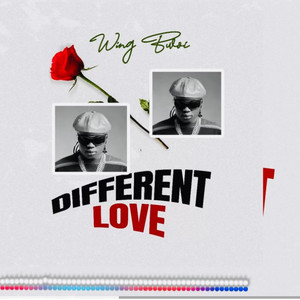 Distribution Media - Wing Bwoi (Different/love)