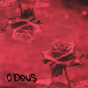 Damages by O’Deus, Amy Abbott