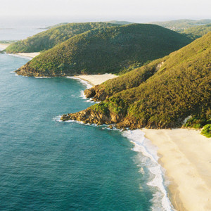 Last Orca - Pain and Peace