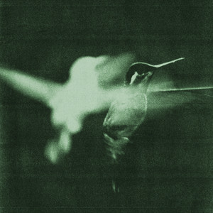 Your Twenties by Wings of Desire