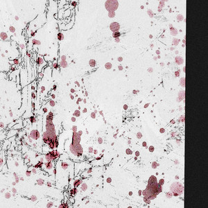 Rot by aatsu, Zape$