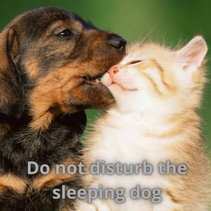 Do Not Disturb the Sleeping Dog by Mauricci