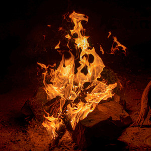 In The Line Of Fire (Special Version)