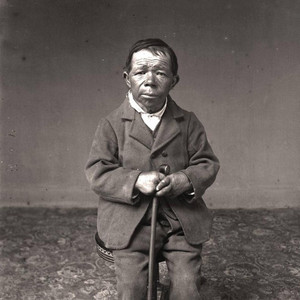 album cover: Canes Gothi !