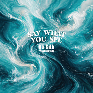 Say What You See (feat. Evan Taylor) by Oli Silk, Evan Taylor