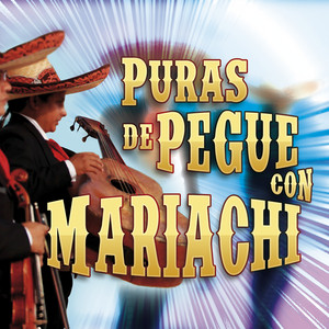 La Raspa by Mariachi Nuevo de Tecatitán