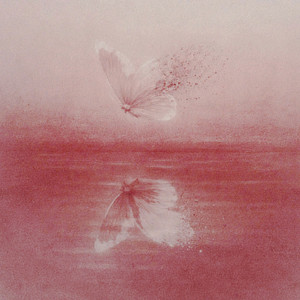 Là Do Yêu Quá Nhiều by H. Sone