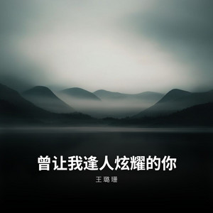 曾让我逢人炫耀的你 by 王璐珊
