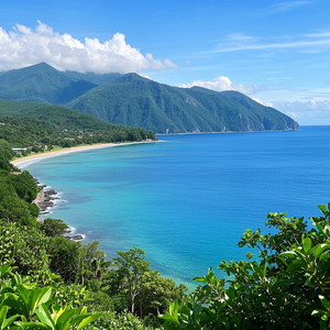 Whare House - ACEH BEK PANIK