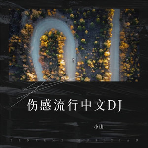 大声说我爱你(DJcandy版) by 小山