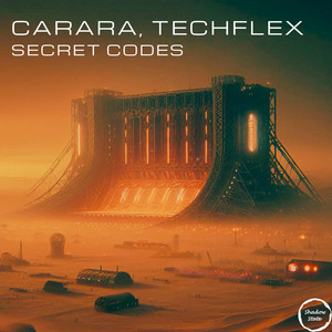 Secret Codes 002 by Carara, Techflex