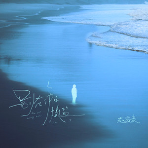 别在伤口撒盐（男声版） by 赵家豪
