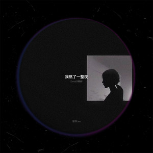 里昂Leo - 我熬了一整夜 (Emo抒情版)