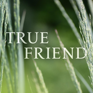 True Friend by Chris Collins