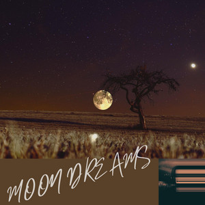 MOON DREAMS