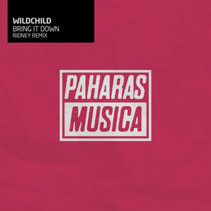 Bring It Down - Ridney Remix by Wildchild, Ridney
