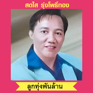 หนุ่มลำปางตามเมีย by สดใส รุ่งโพธิ์ทอง