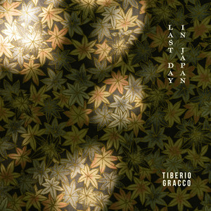 Last Day in Japan by Tiberio Gracco