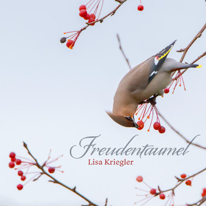Lichtblick by Lisa Kriegler