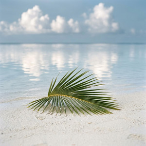 Caribean Beach by Nick Thousand