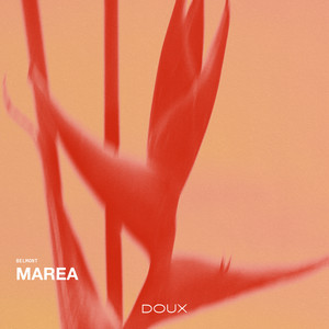 Marea by Belmont