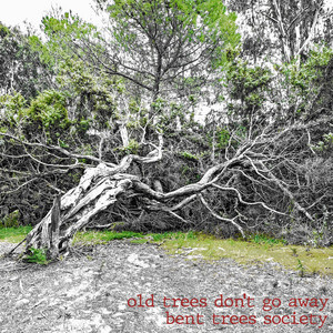 Old Trees don't go away