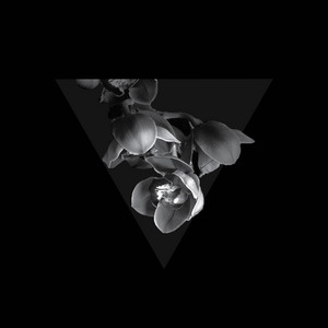 Quattracenta - It Gave Way