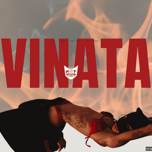 Kotenceto - VINATA