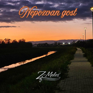 Nepozvan gost