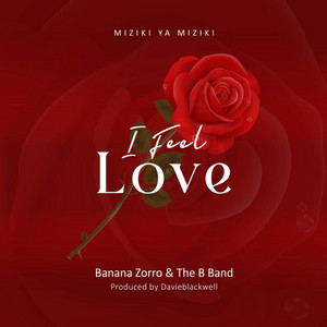Banana Zorro - I FEEL LOVE (feat. THE B BAND)