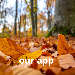 our app by Xesiboys