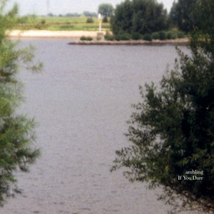 ambling by Kika Sprangers, Anna Serierse, William Barrett, Koen Schalkwijk, Wouter Kühne