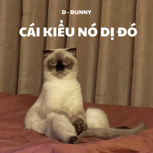 D - Bunny - Cái Kiểu Nó Dị Đó