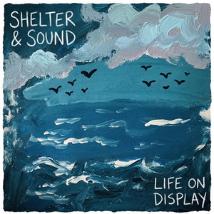 Life on Display by Shelter & Sound