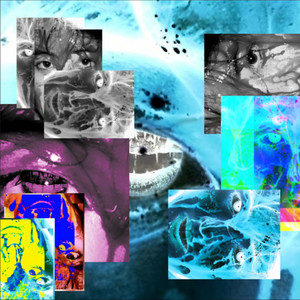 Mercury The Flying God - Sex Talk