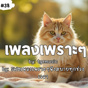 TGE MUSIC - ปลายทางของความฝัน