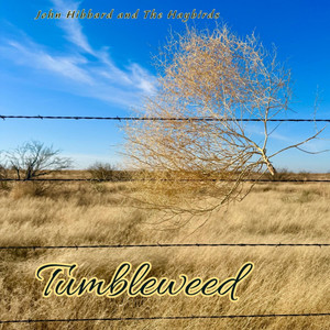 Tumbleweed by John Hibbard and The Haybirds