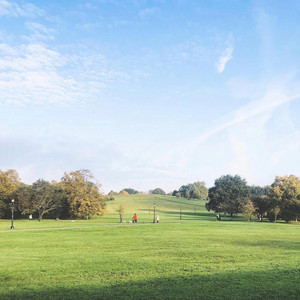 Martin Ocean — Pretty Primrose Hill (2026)