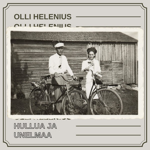 Hullua ja unelmaa