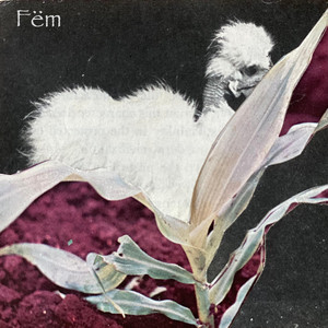 Fëm poster