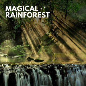 Magical Rainforest album