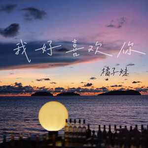 我好喜欢你（DJ阿易版） by 橘子妹, DJ阿易