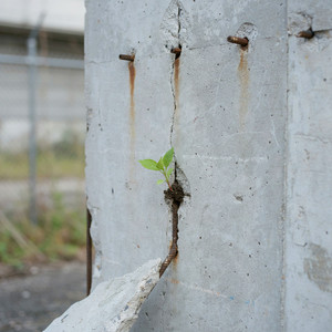 Concrete_Resilience by Jhon white