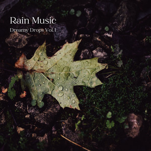 Rain Music: Dreamy Drops Vol. 1 album