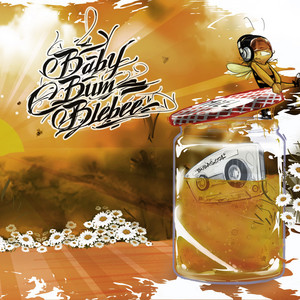 Babybumblebee cover