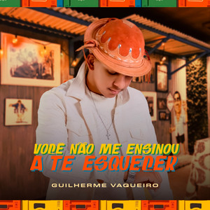 Você Não Me Ensinou a Te Esquecer