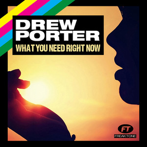 What You Need Right Now (Soulshaker Remix) by Drew Porter, Soulshaker