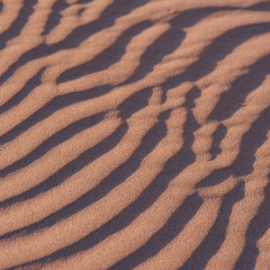 SonhosDigitais - Lost in Your Light